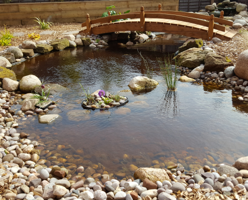 natural pond with wooden bridge installation